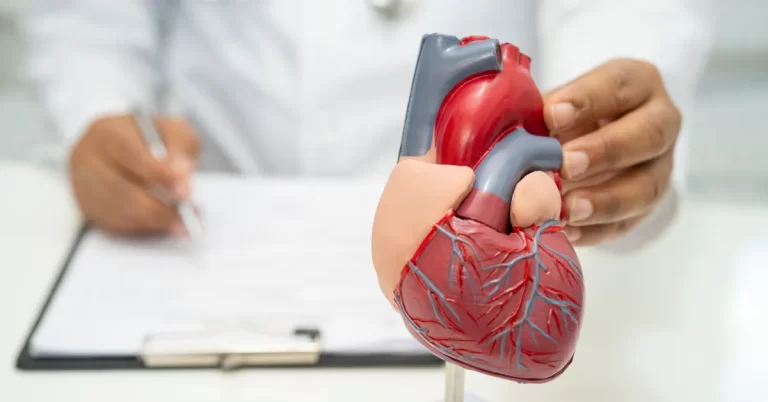 Cardiac Health Check Basic