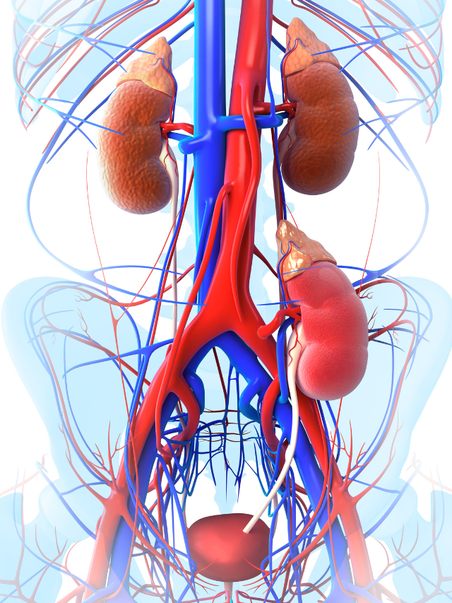 Best Liver Transplant Surgeon in Chennai